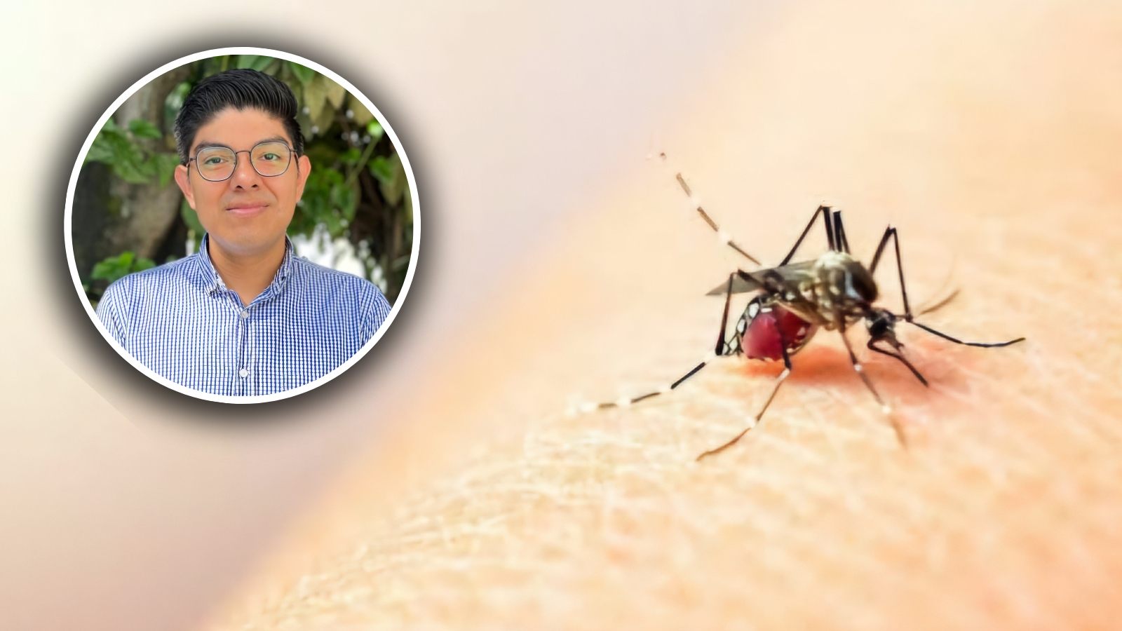 Casos de dengue han disminuido en un 97% a comparación del 2024