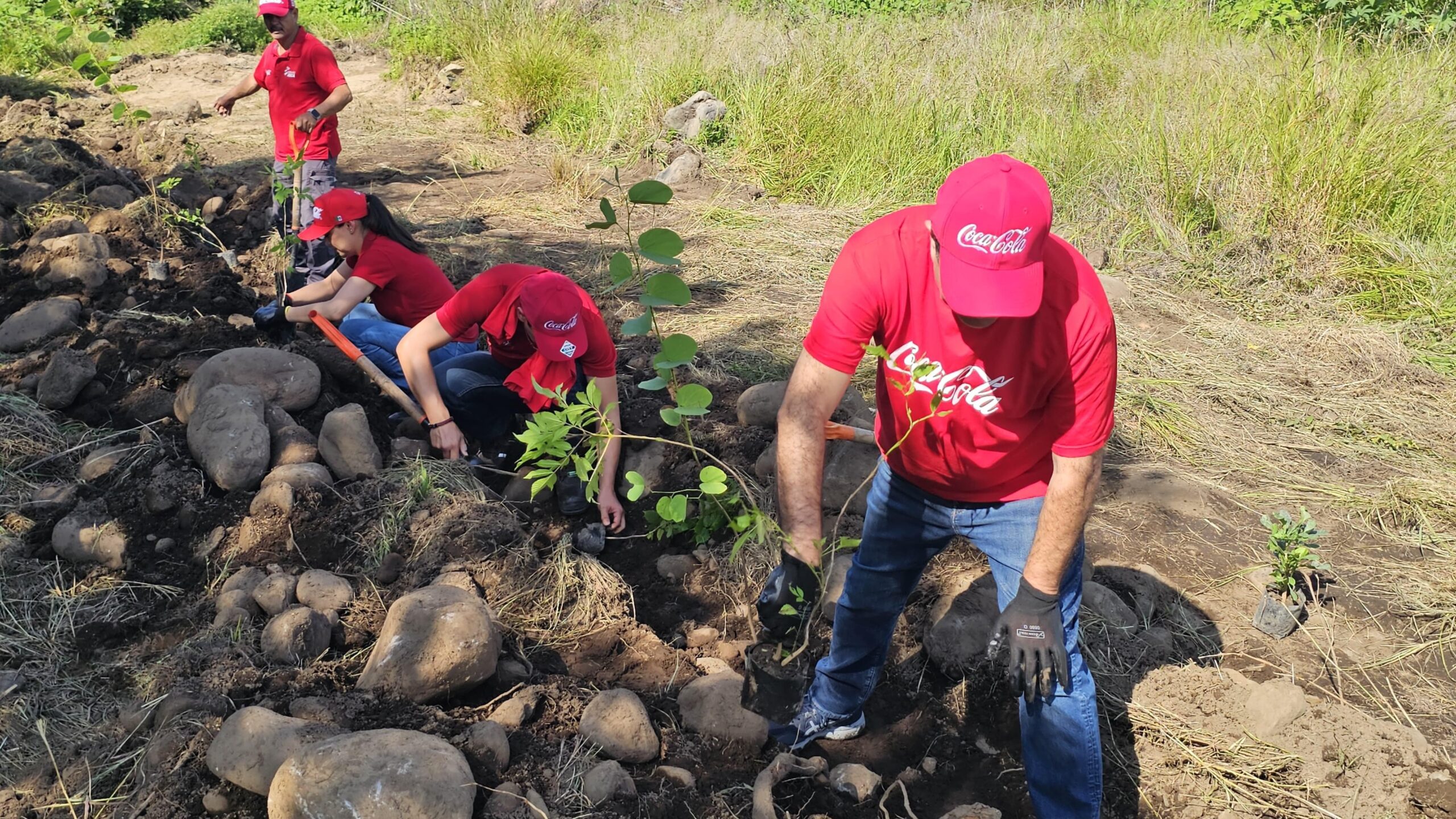 Grupo Rica lleva campaña de reforestación en la ribera del Rio Cuautla