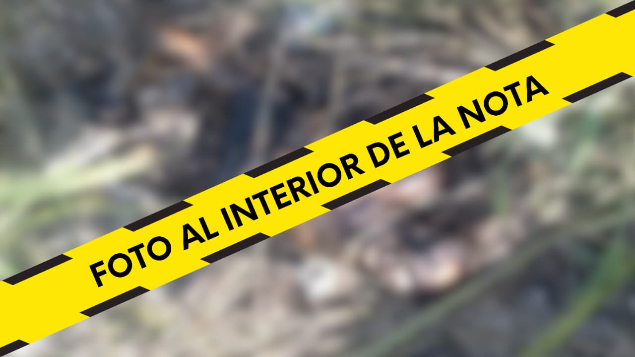 Hallan cuerpo en estado de descomposición en Jonacatepec