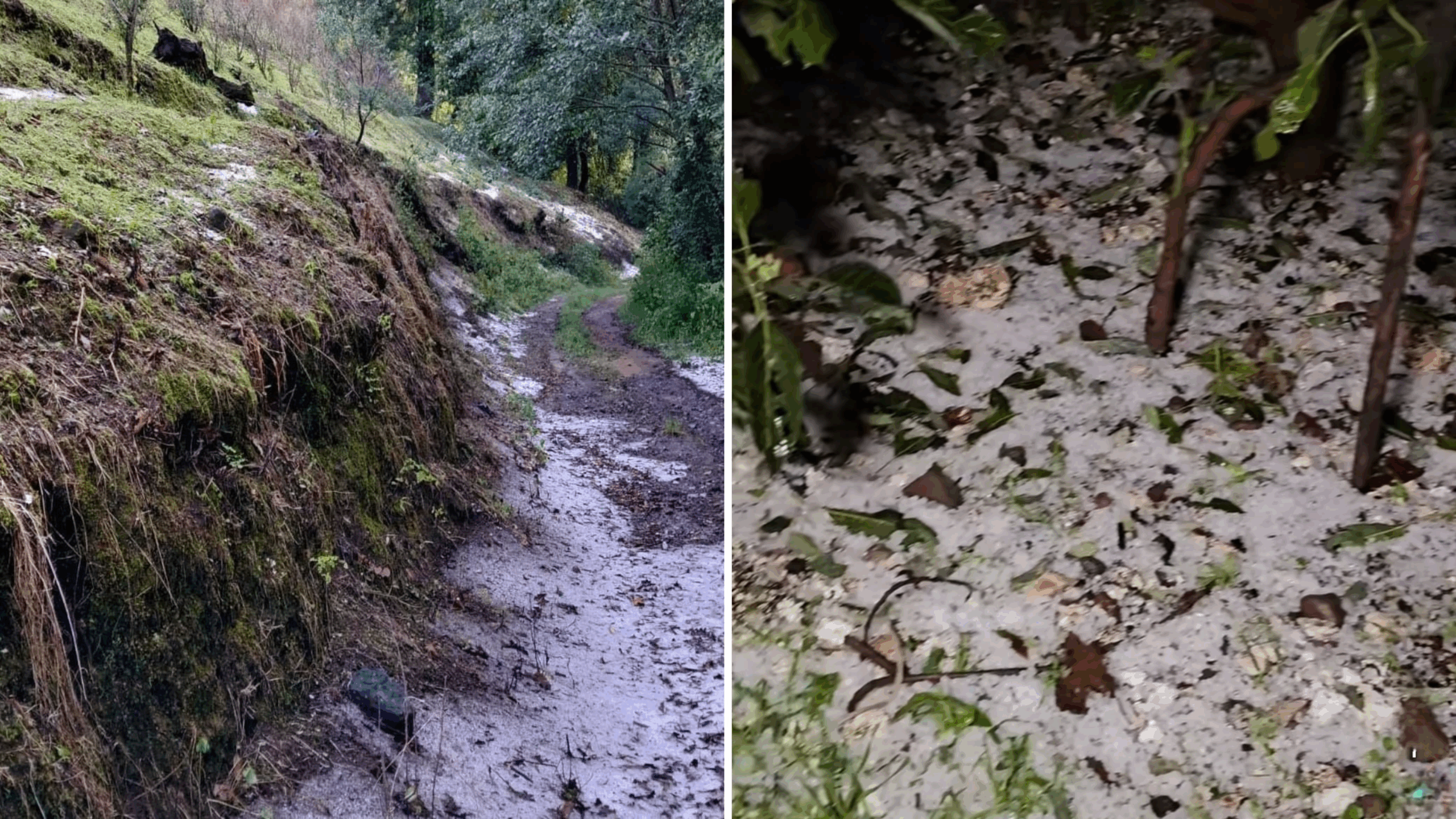 Fuerte granizada afecta cultivos en Tetela del Volcán