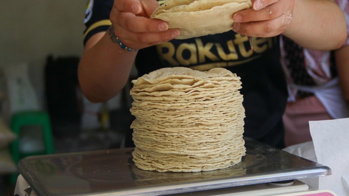 En Morelos aún no hay acuerdo para bajar precio de la tortilla