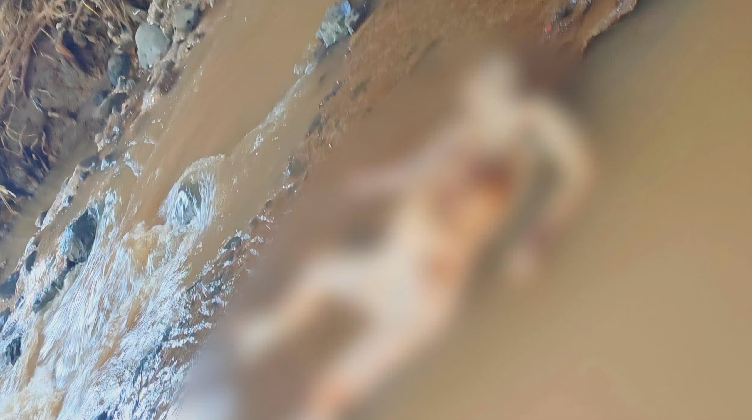 Hallan cuerpo sin vida en el río del Centro Vacacional Oaxtepec