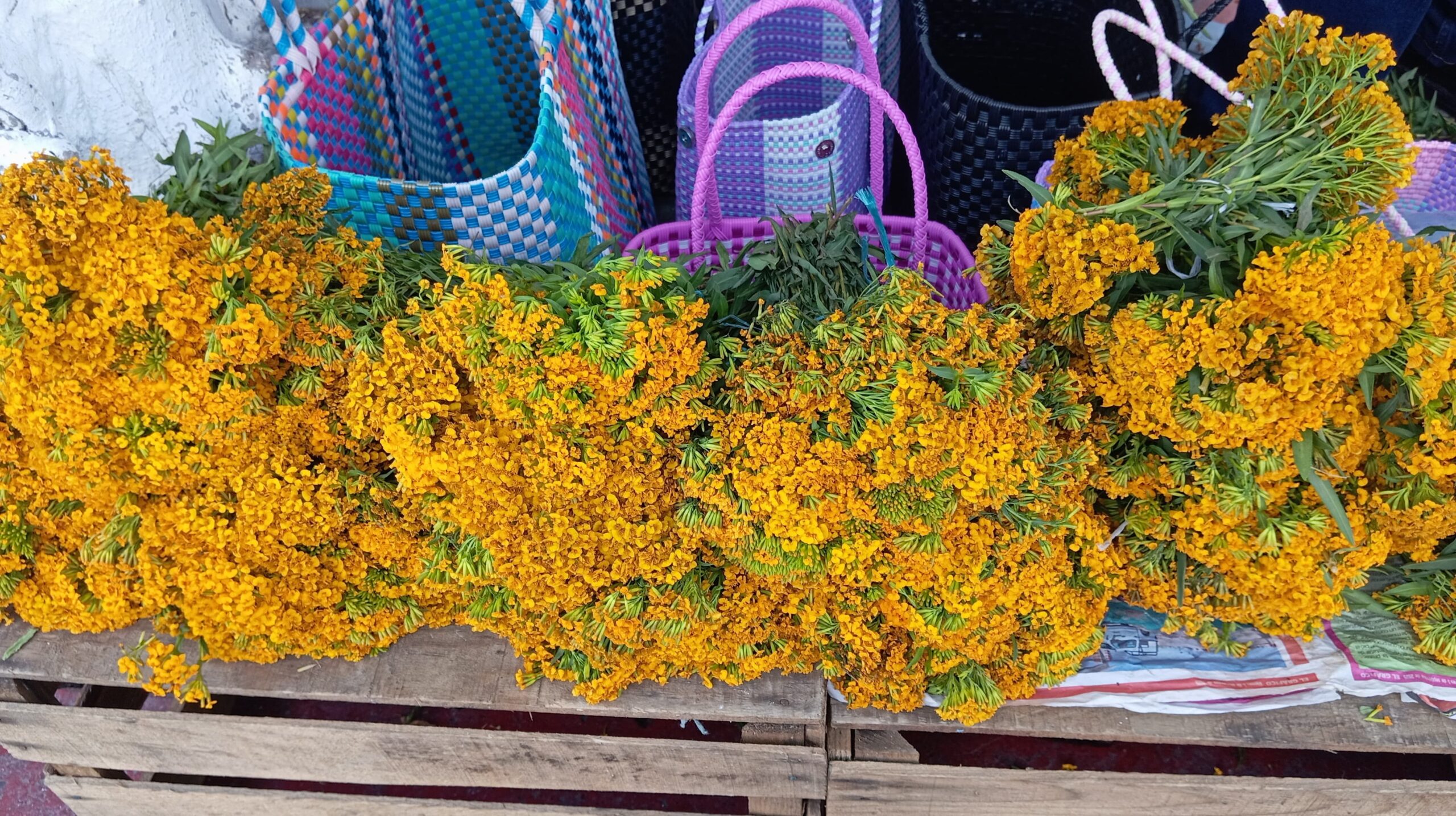 Comienza la venta de Cruz de Pericón