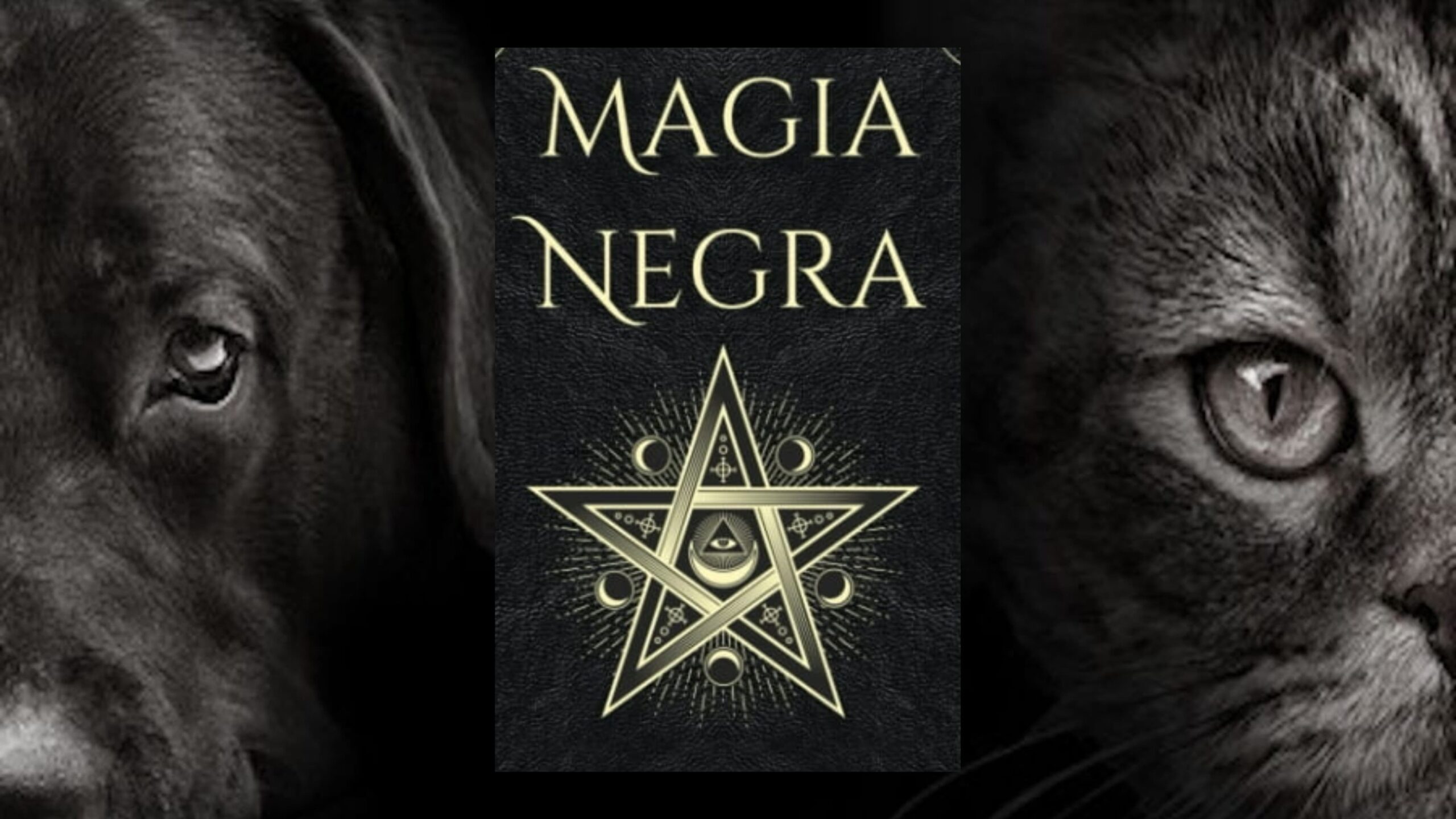 Incrementa número de mascotas desaparecidas durante Día de Muertos