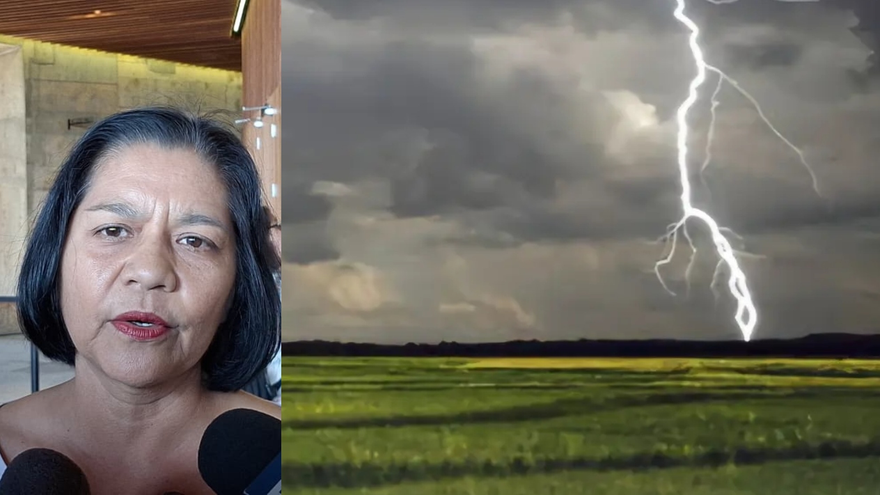 Sin reporte de afectaciones en cultivos por lluvias