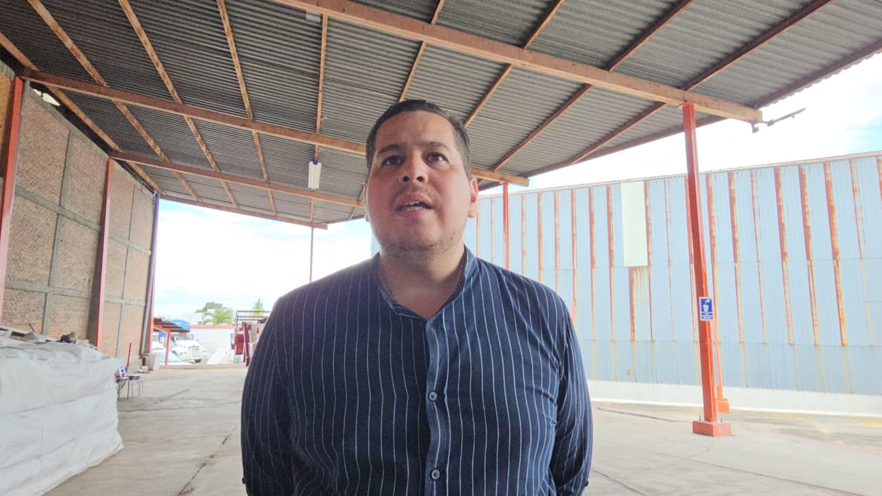 Cuautla se mantiene sin casos de pulgón amarillo en cultivos