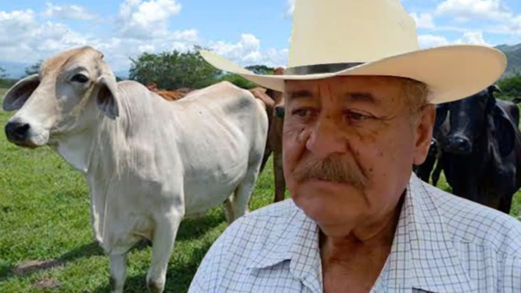 Ganaderos no denuncian abigeato por trámites largos