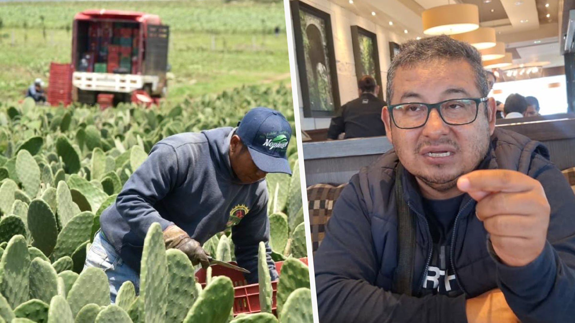 En el campo morelense existe déficit de mano de obra