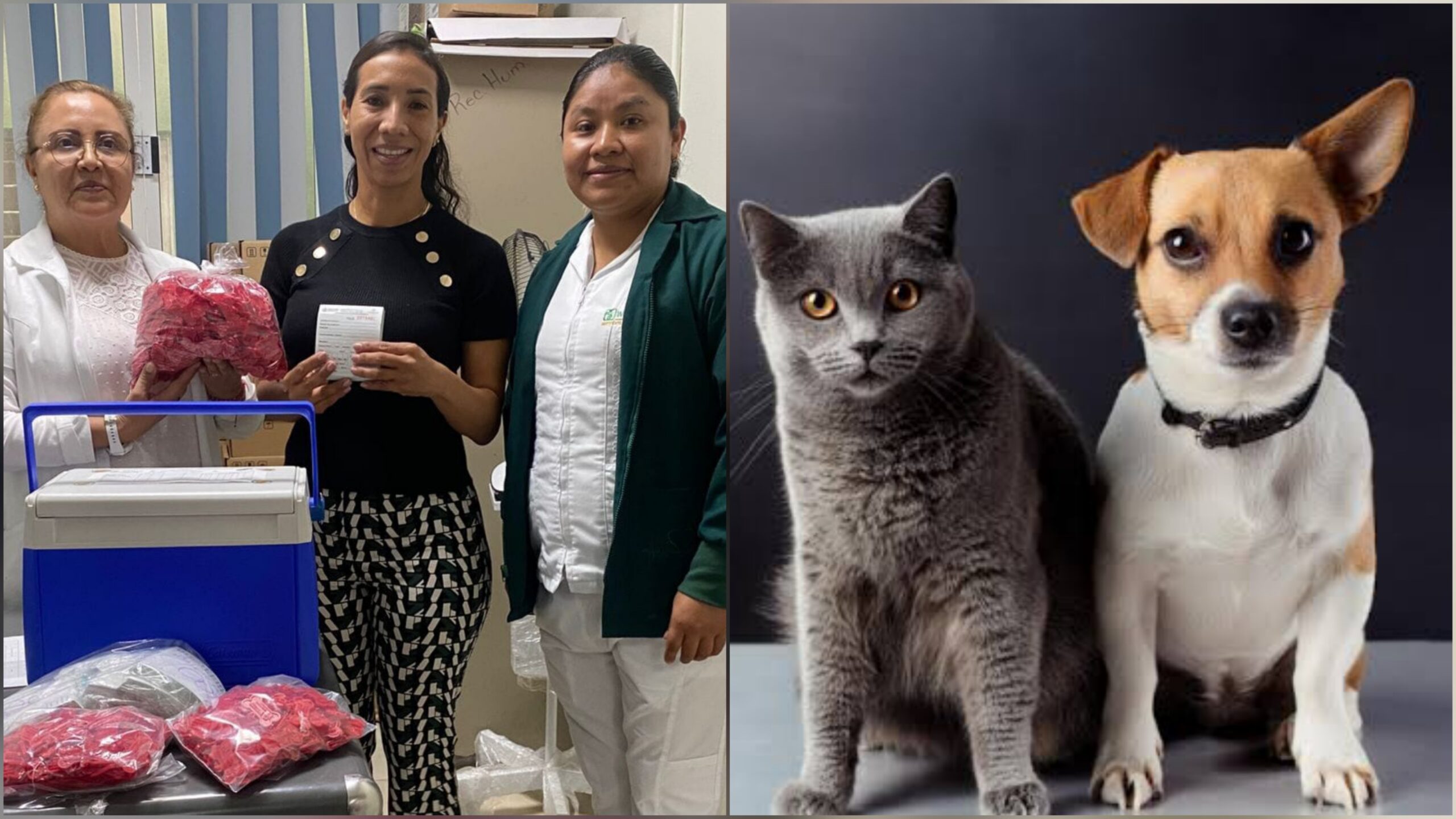 Anuncian campaña gratuita de vacunación antirrábica en Cuautla