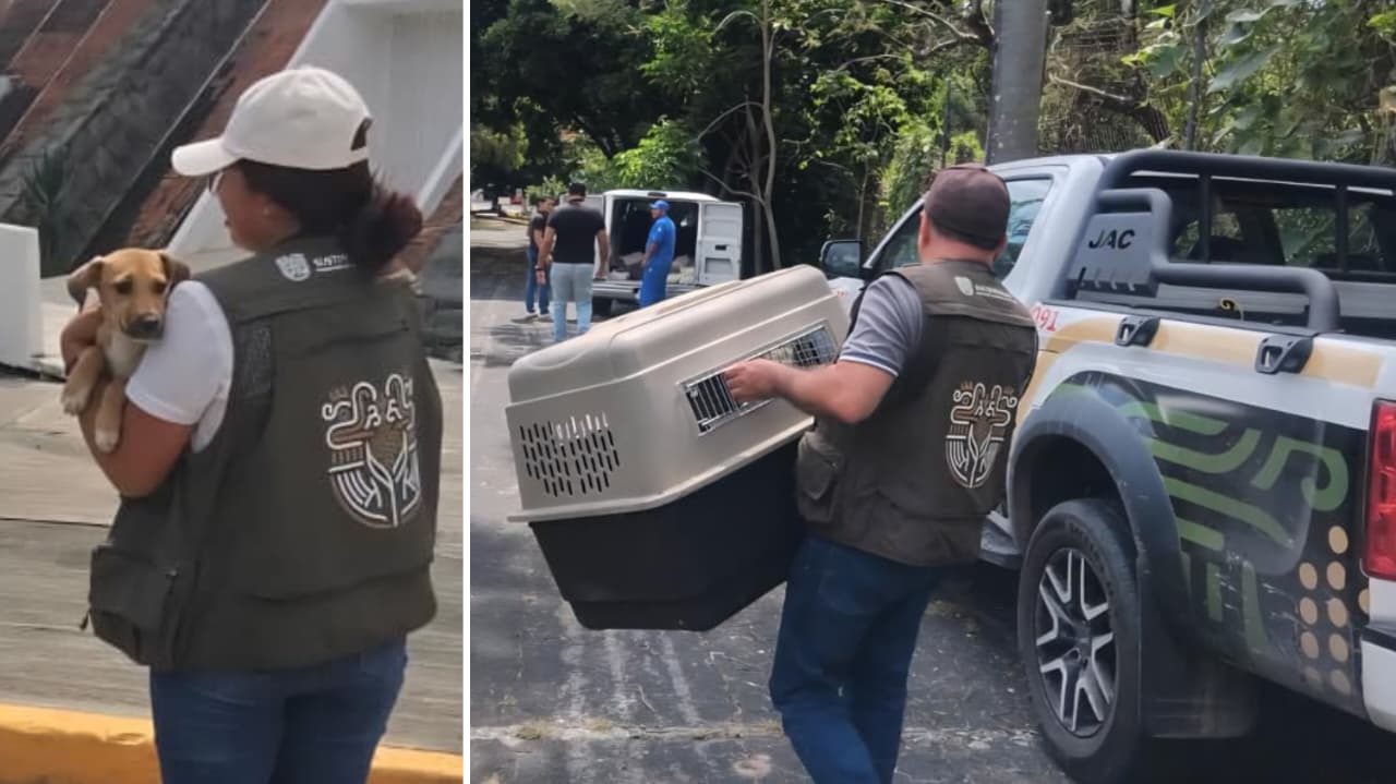 Propaem pone a resguardo 3 perros tras recorrido en el Centro Vacacional Oaxtepec