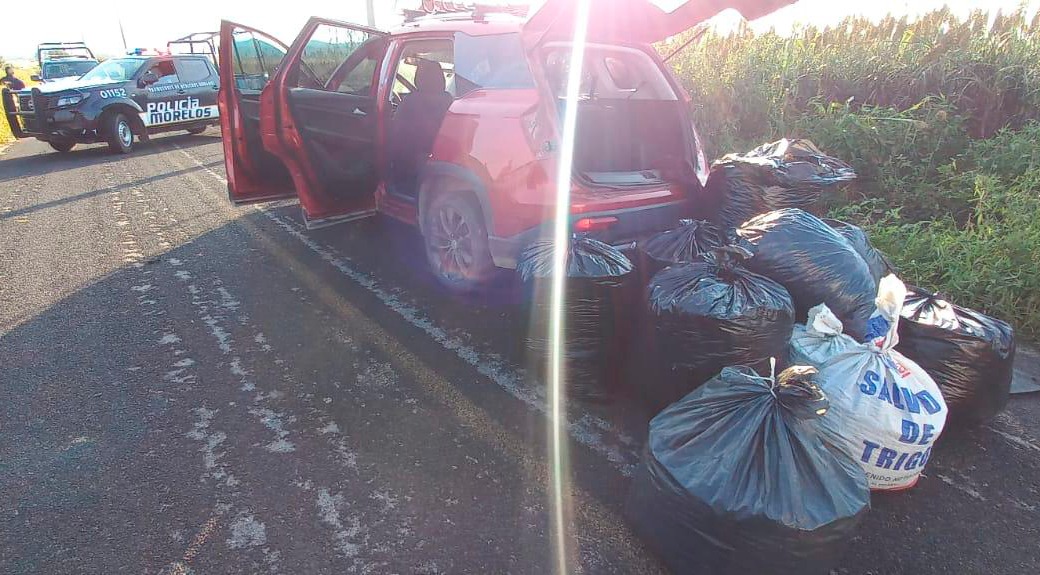 Aseguran 200 kilos de presunta marihuana en Ocuituco