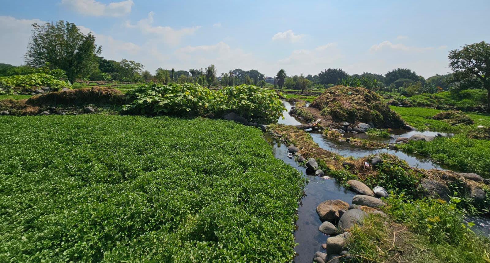 Se quedan sin agua vecinos de San Pedro Apatlaco