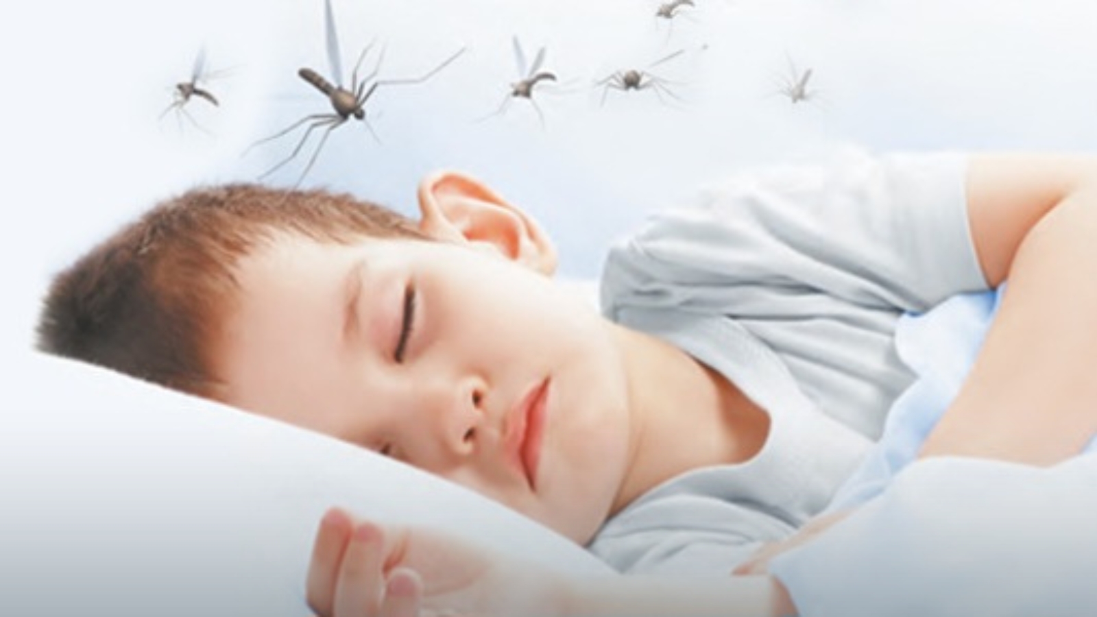 Pide Hospital de la Niñez Morelense proteger a las infancias contra el dengue