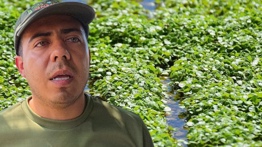 Se busca que producción de berro sea más amigable con el medio ambiente