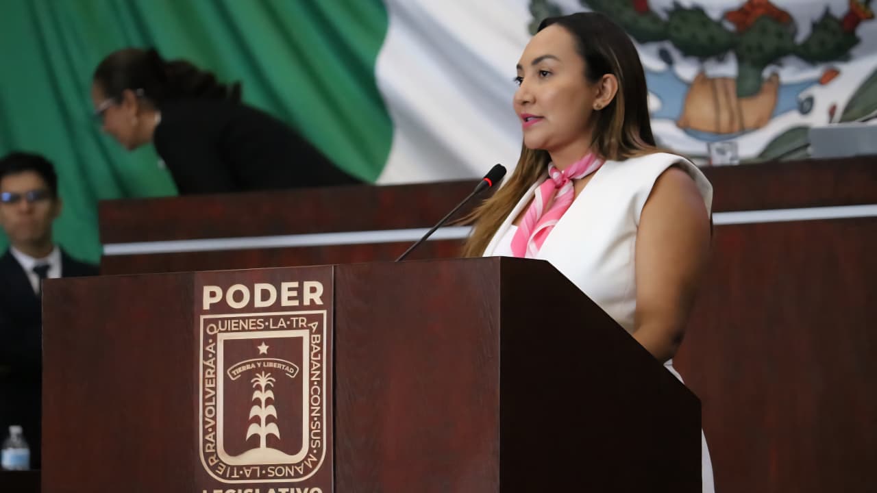 Presenta diputada iniciativa para servicios de salud mental inclusivos