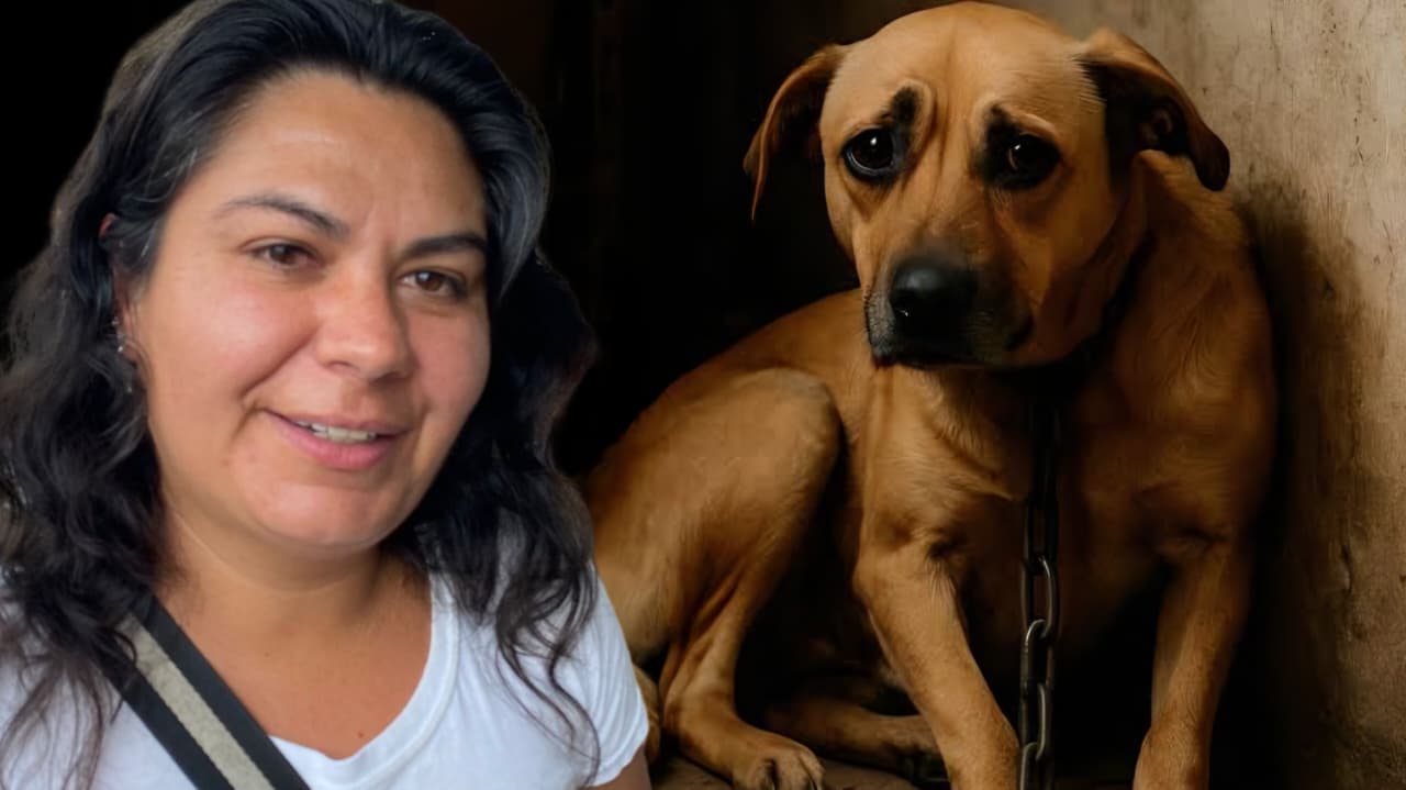 Amigos de los Perros insiste en denunciar el maltrato animal