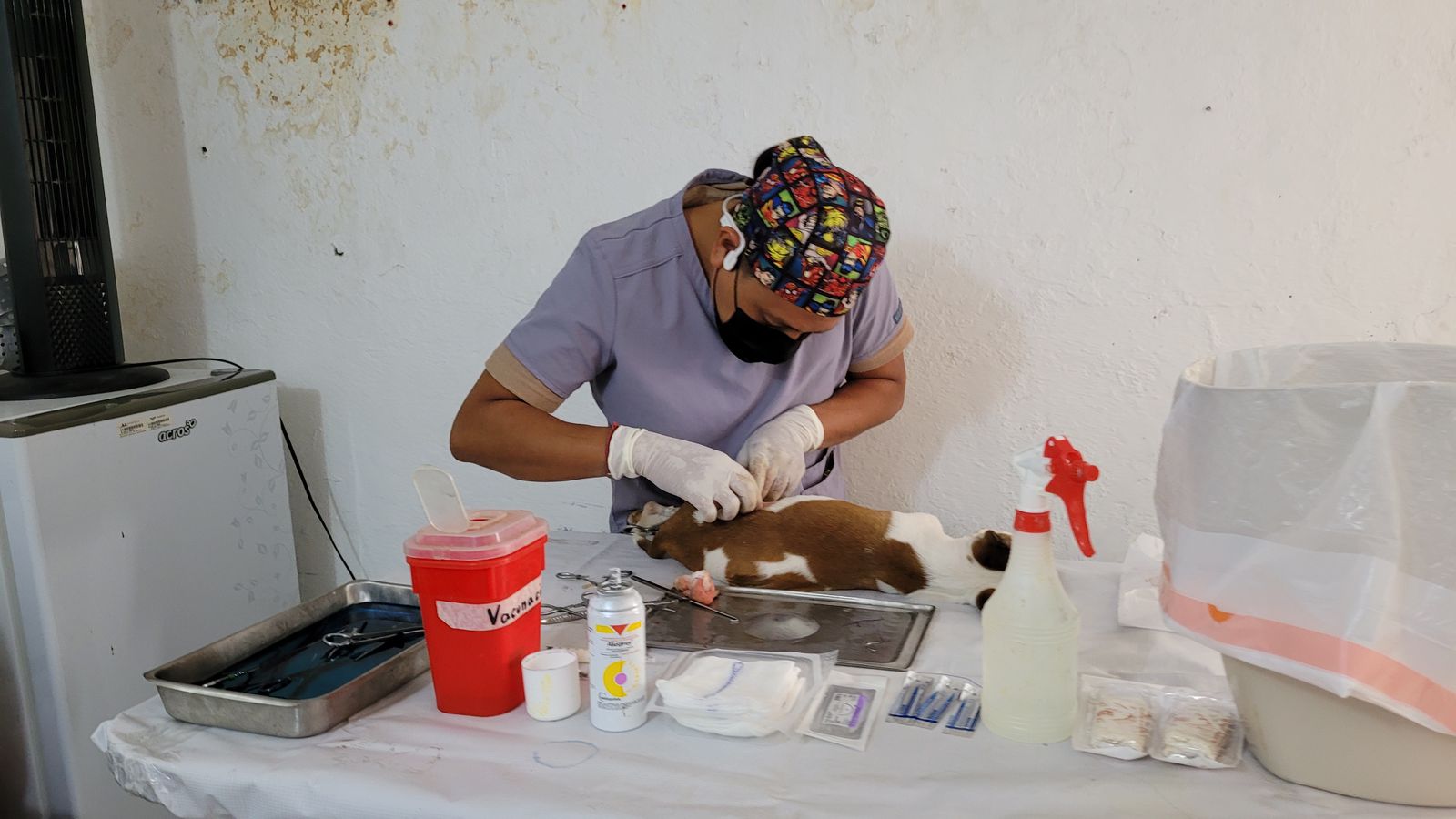 Un éxito jornada gratuita de esterilización canina y felina en Cuautla