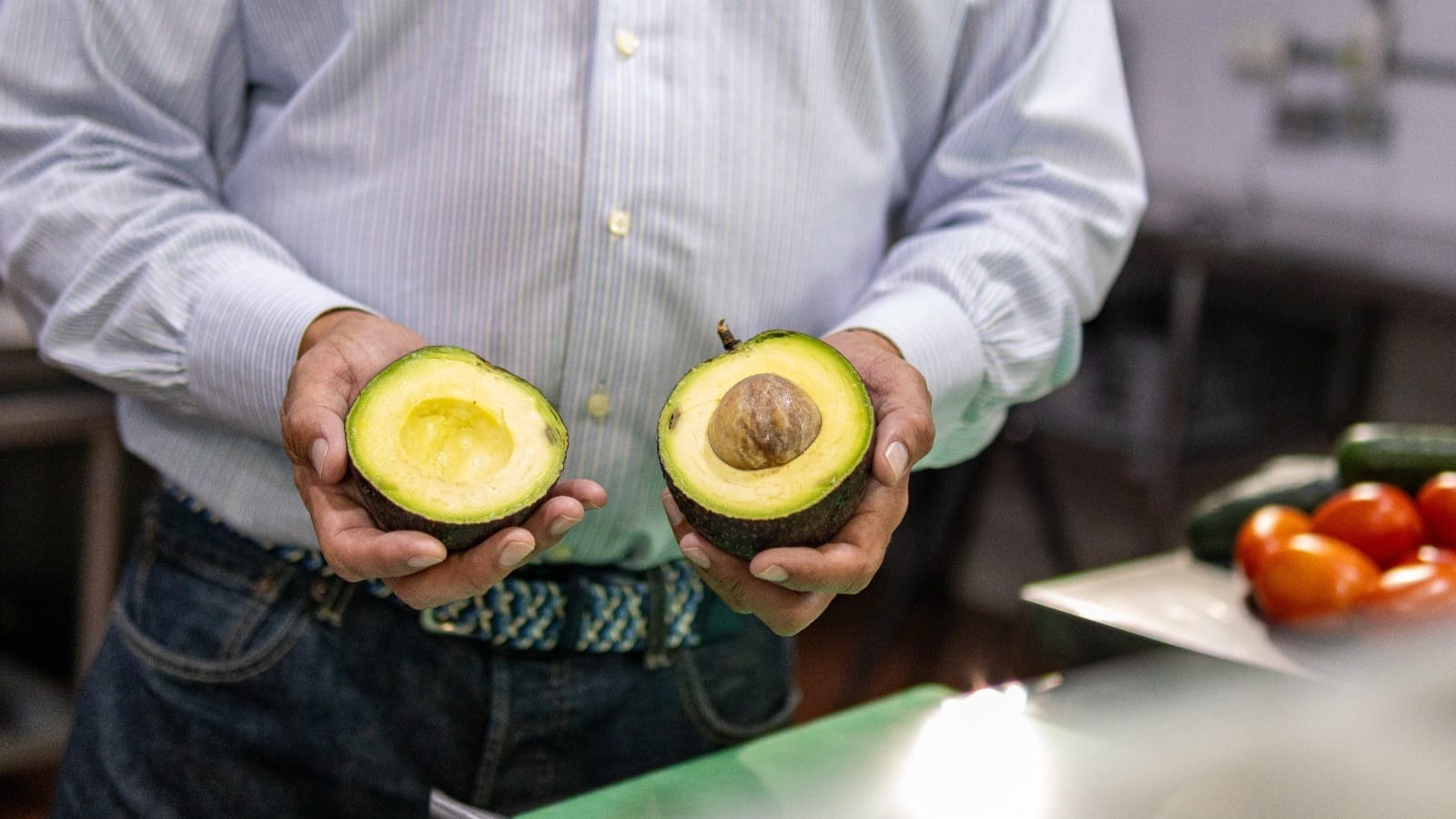 Morelos zona libre de plagas del aguacate