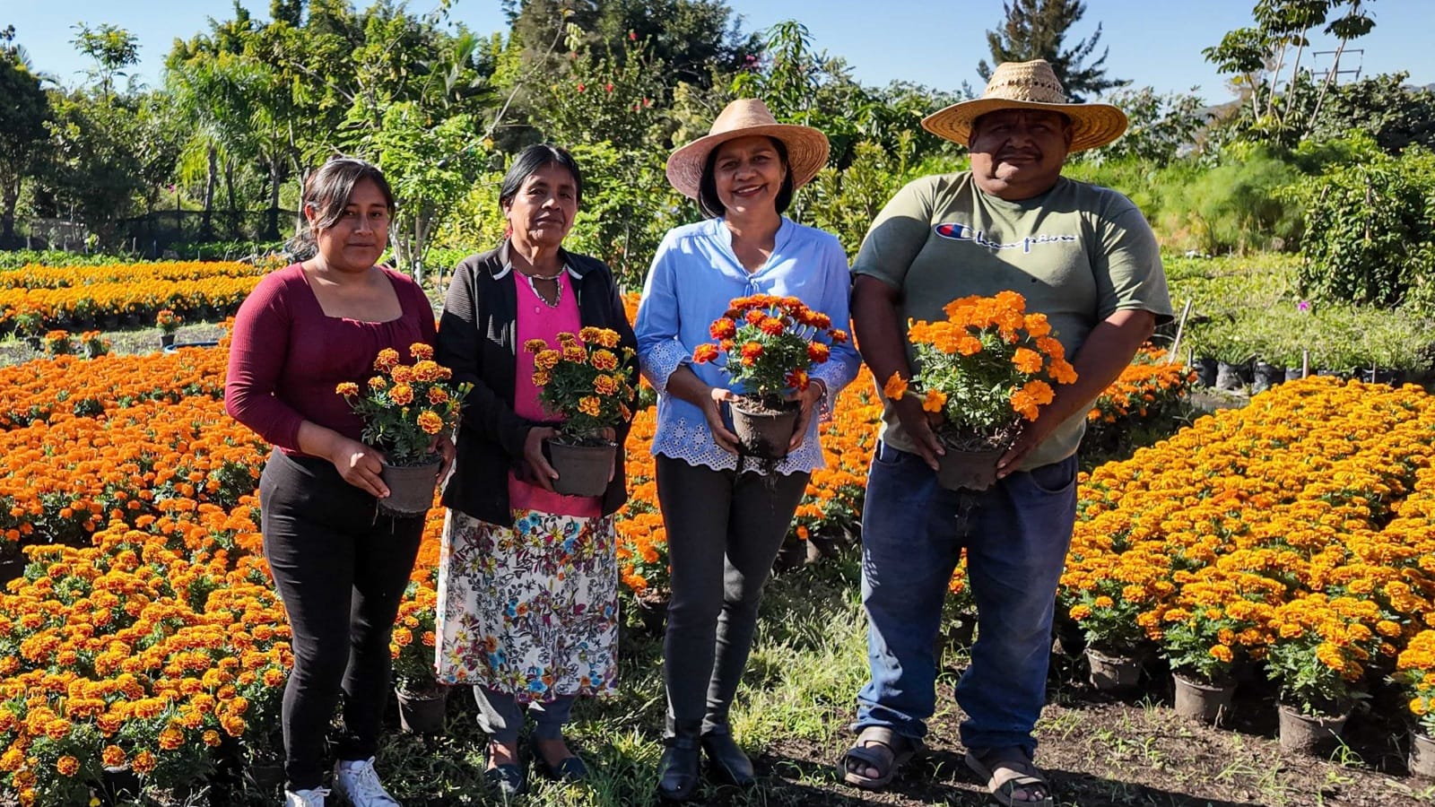 Invita Sedagro a integrar en ofrendas productos del campo morelense