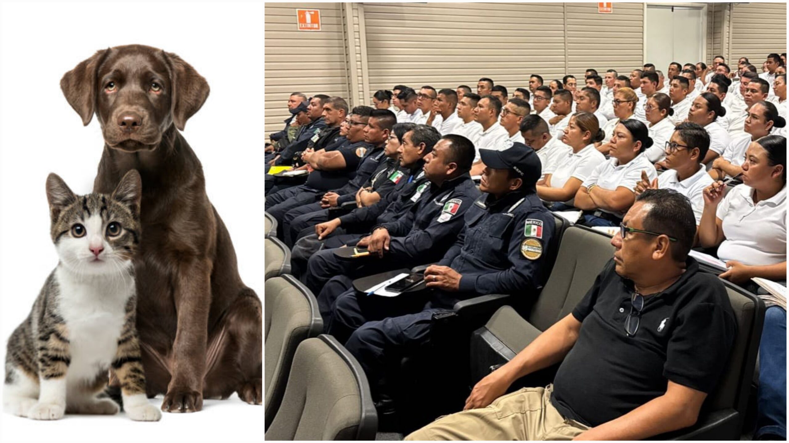 Capacitan a policías para prevenir el maltrato animal