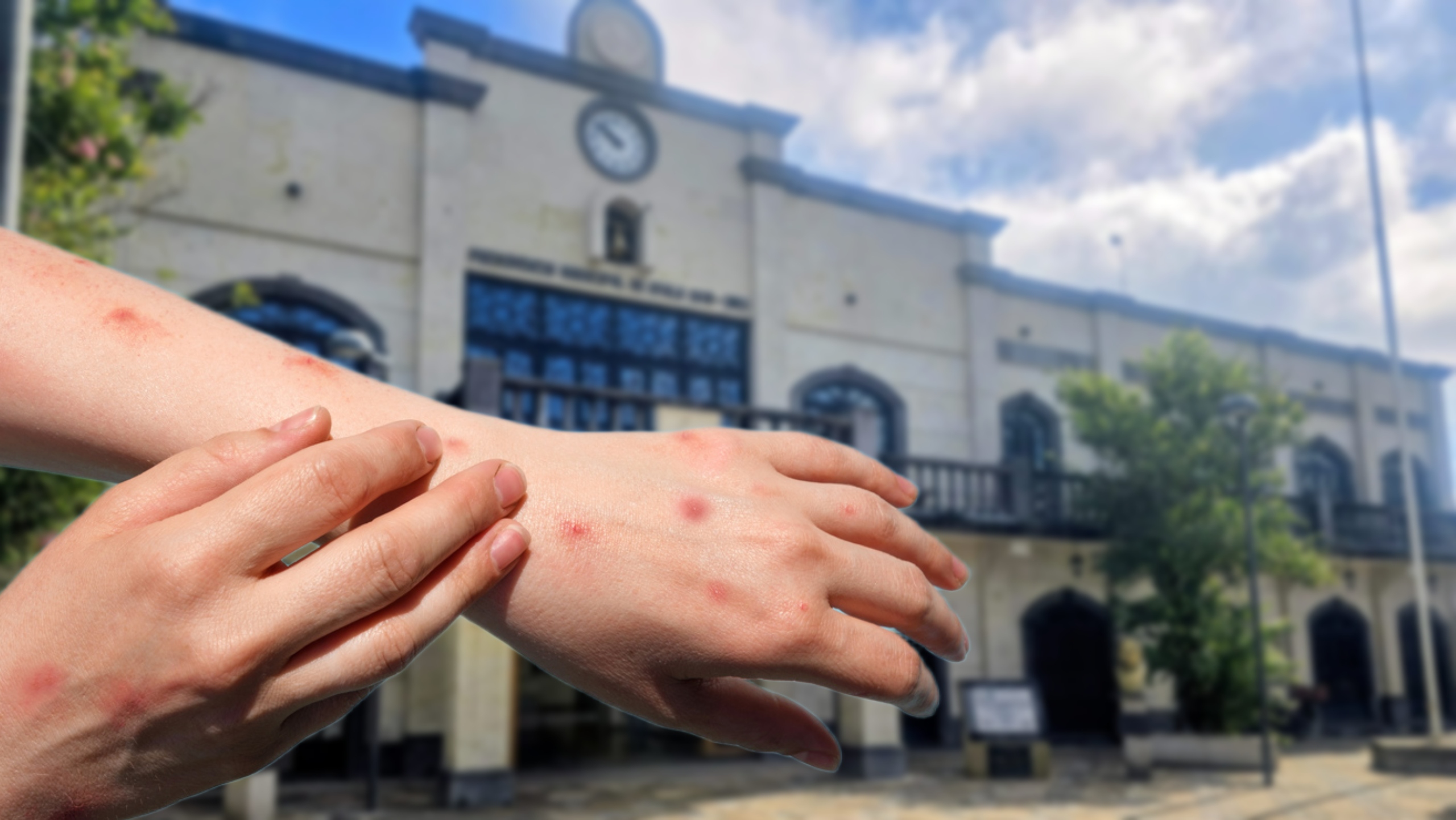 Mantiene Ayala acciones contra el sarampión