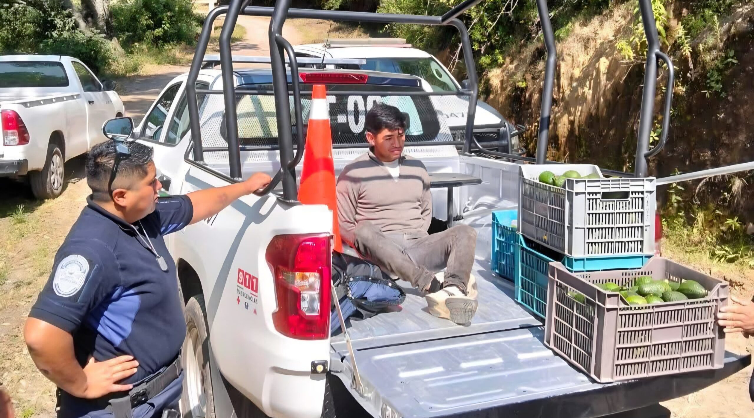 Detienen a joven por robo de Aguacate en Tetela del Volcán