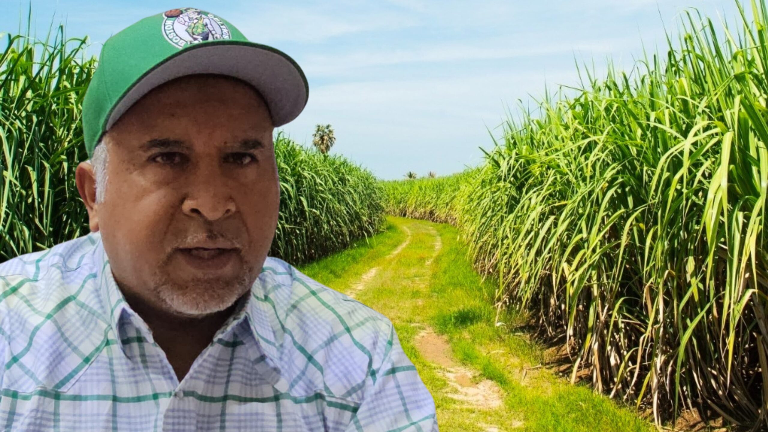 Cañeros y Gobierno Impulsan Mejora de Caminos para Zafra 2025-2026