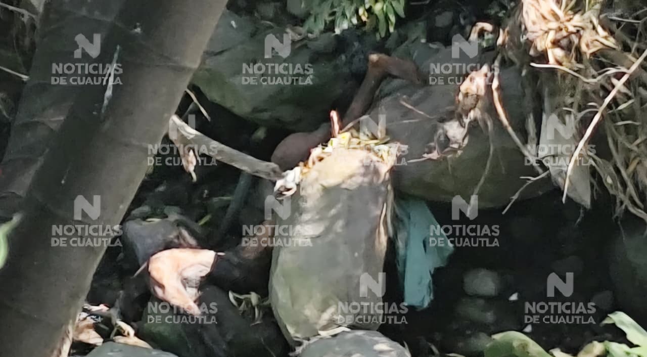Encuentran Cuerpo Humano en Estado de Descomposición a Orillas del Río Cuautla