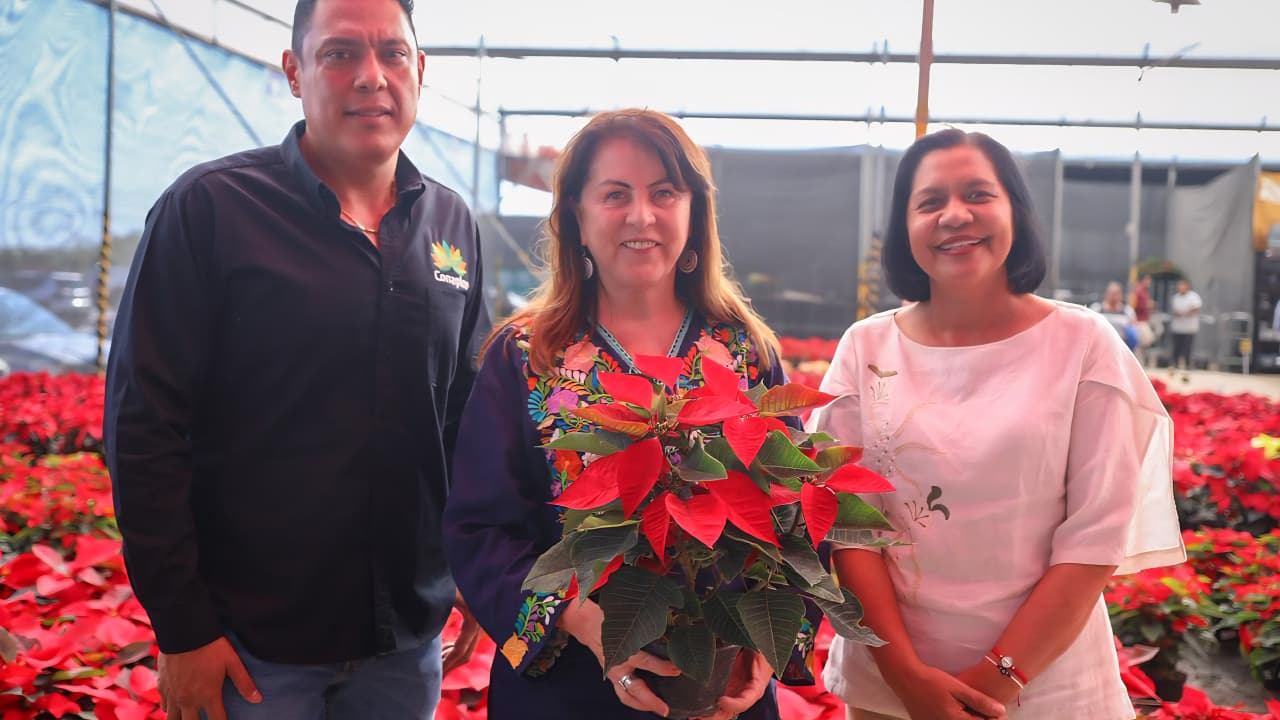 Morelos primer lugar en venta de Nochebuena