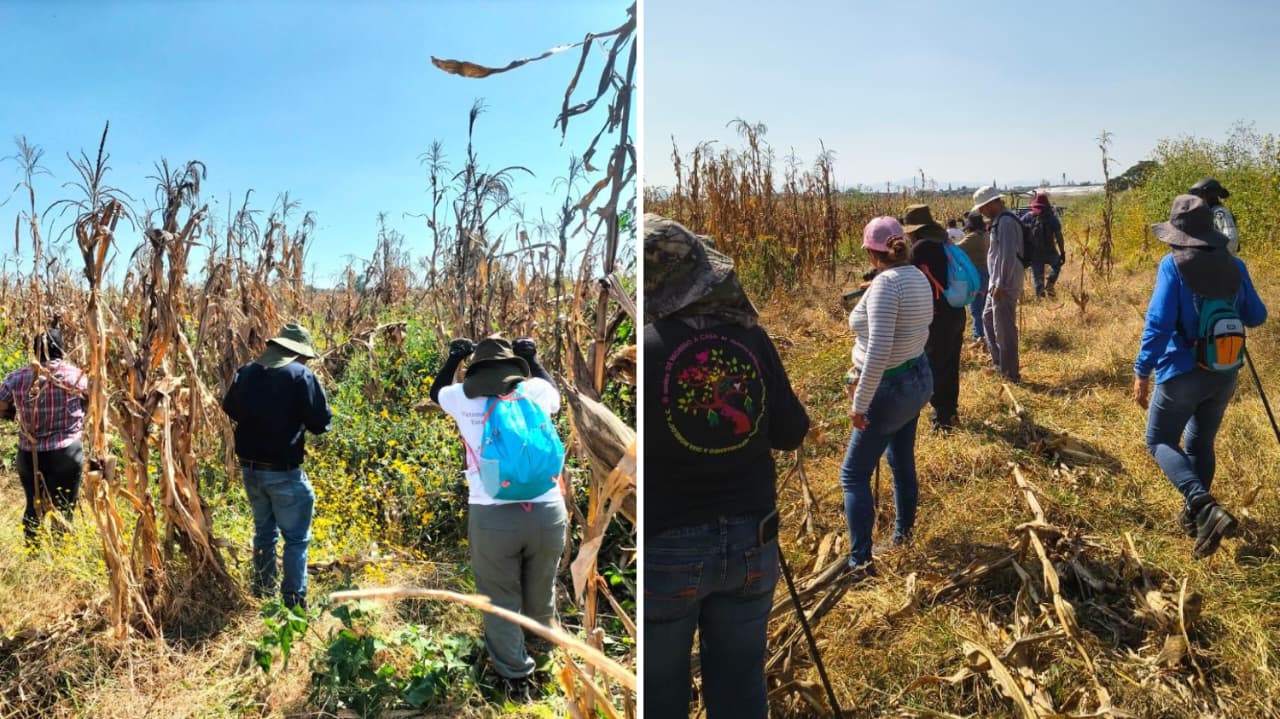 Realizan trabajos de búsqueda de personas en límites de Cuautla y Yecapixtla