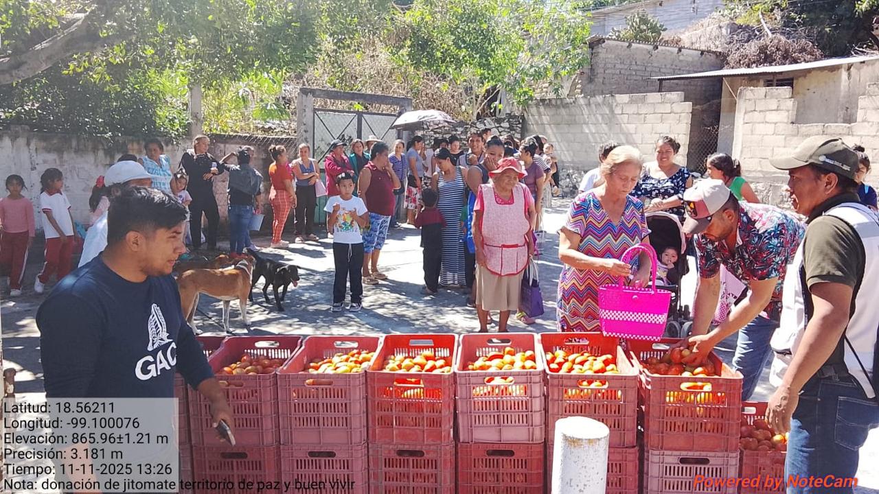 Distribuyen 60 toneladas de jitomate fresco a familias con marginación en Morelos