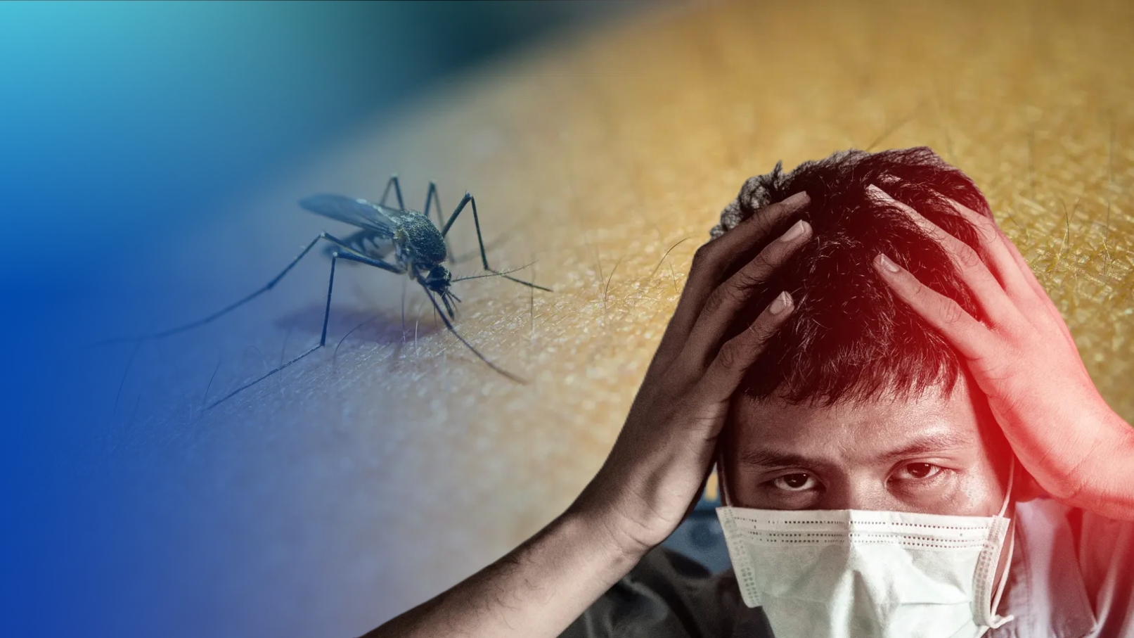 Morelos intensifica acciones contra el dengue