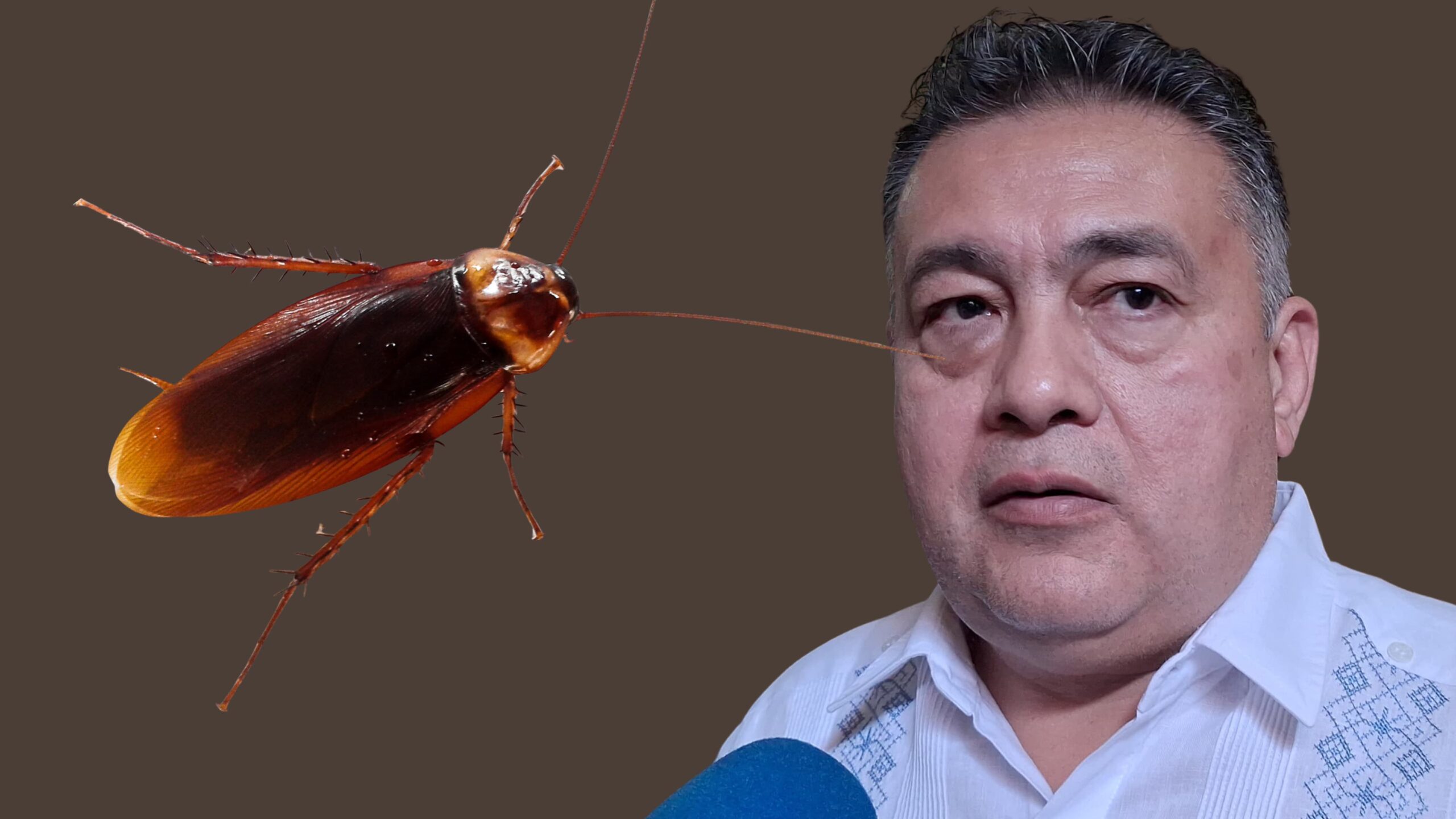 «Efecto Cucaracha» Dispara violencia en municipios aledaños a Cuautla