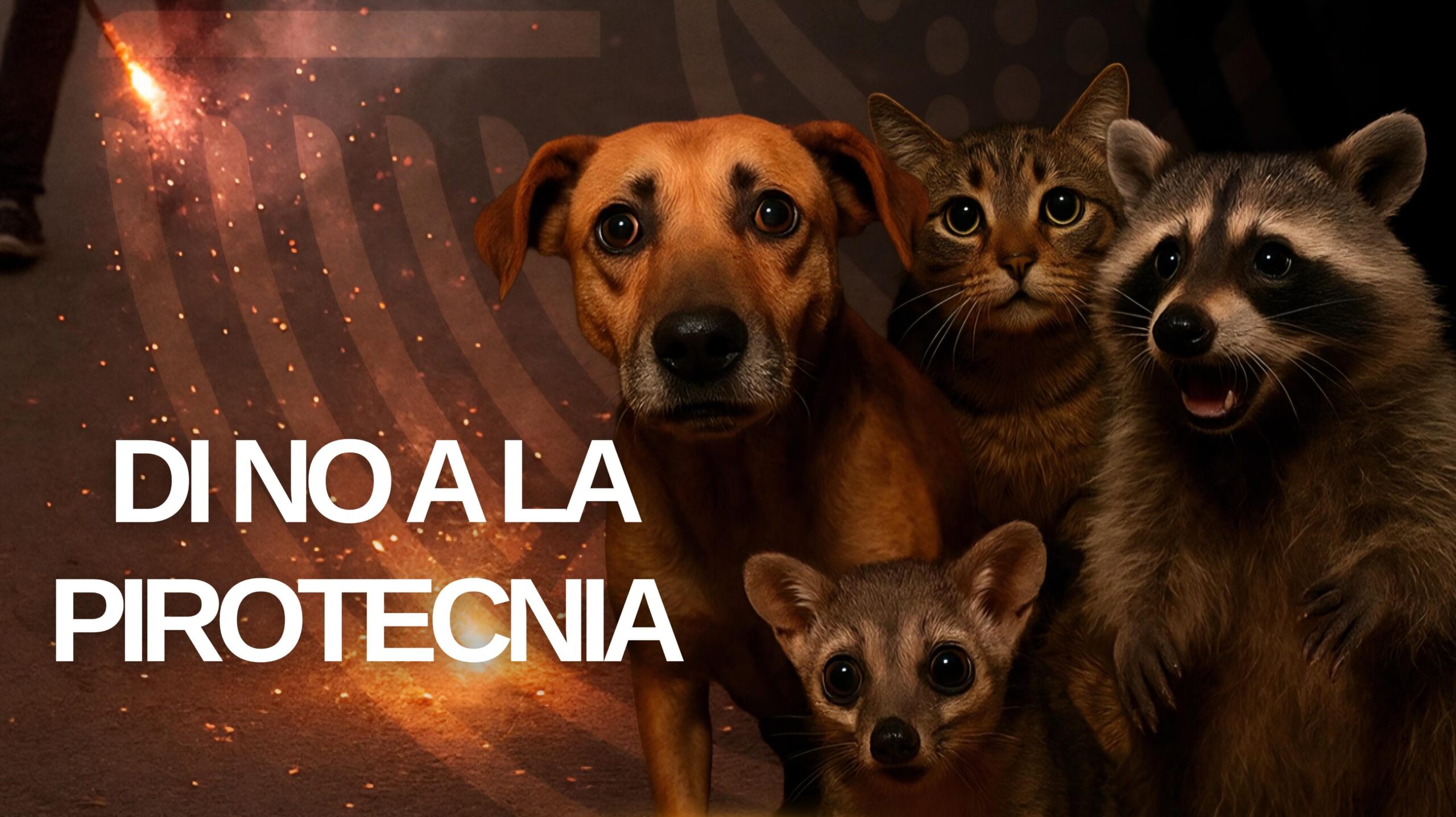Pirotecnia causa daños irreversibles a animalitos y el medio ambiente