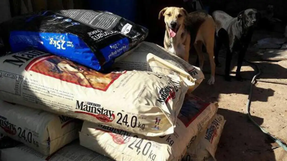 Invitan al Croquetón Navideño 2025 para apoyar a animales rescatados