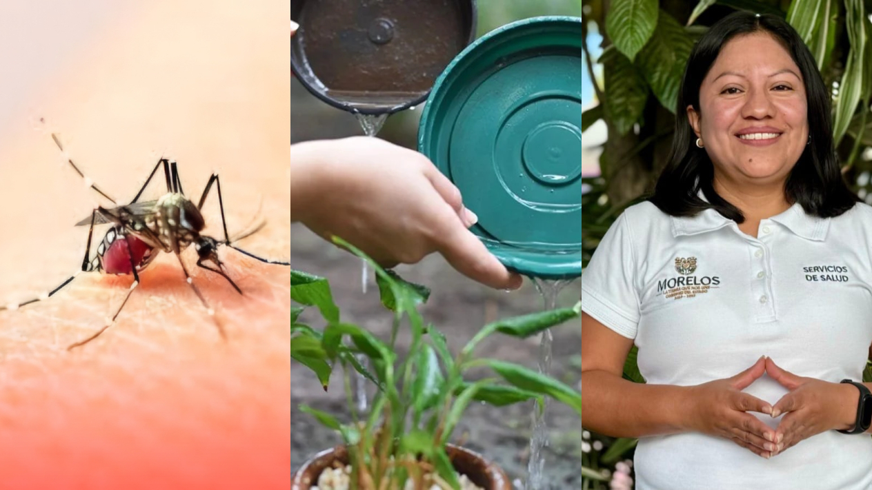 Morelos se mantiene sin casos de dengue