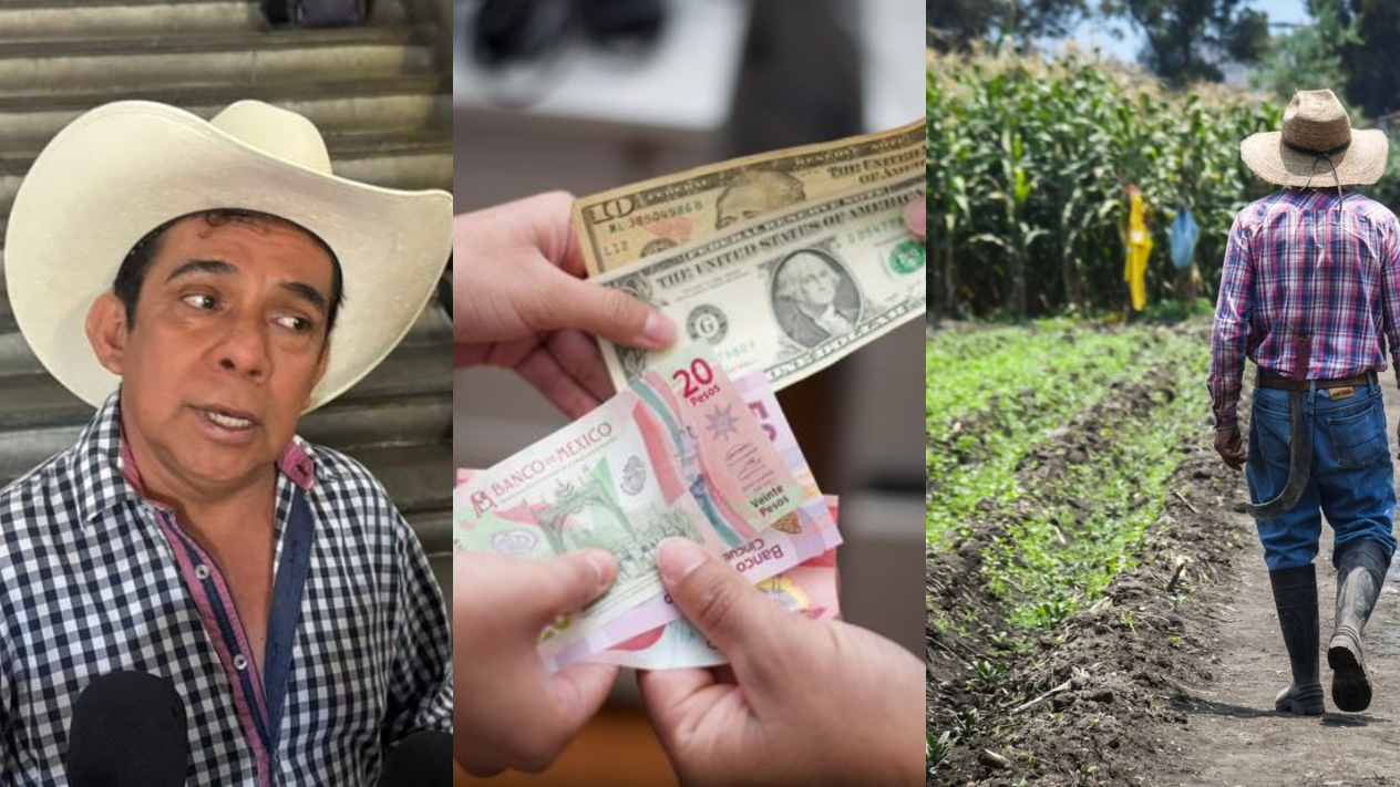 Política migratoria de Trump impacta al campo de Morelos