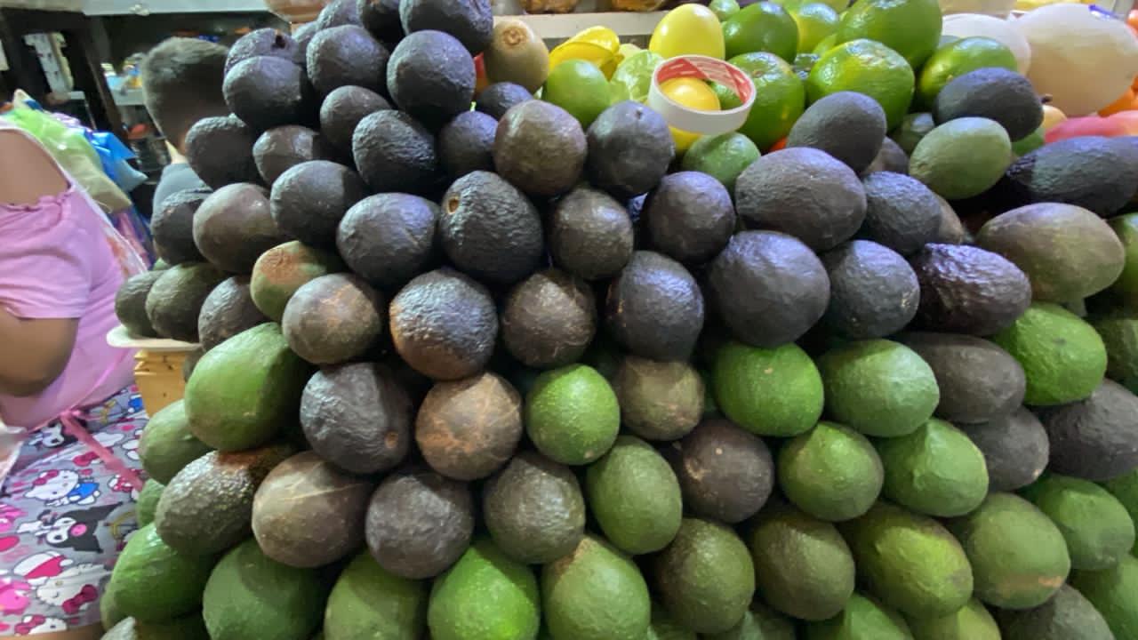 Cae el precio del aguacate por sobreproducción