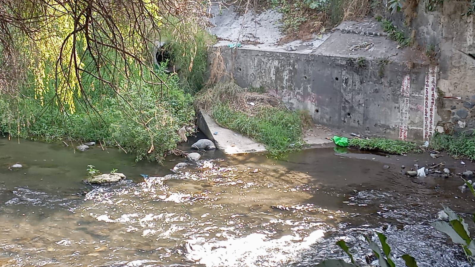 Activistas exigen aplicar sanciones contra quienes contaminan el agua