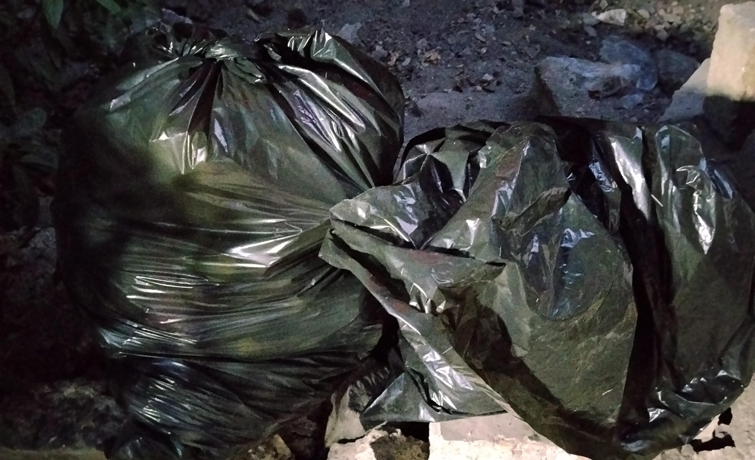 Urgen ambientalistas a implementar la separación de residuos en Cuautla