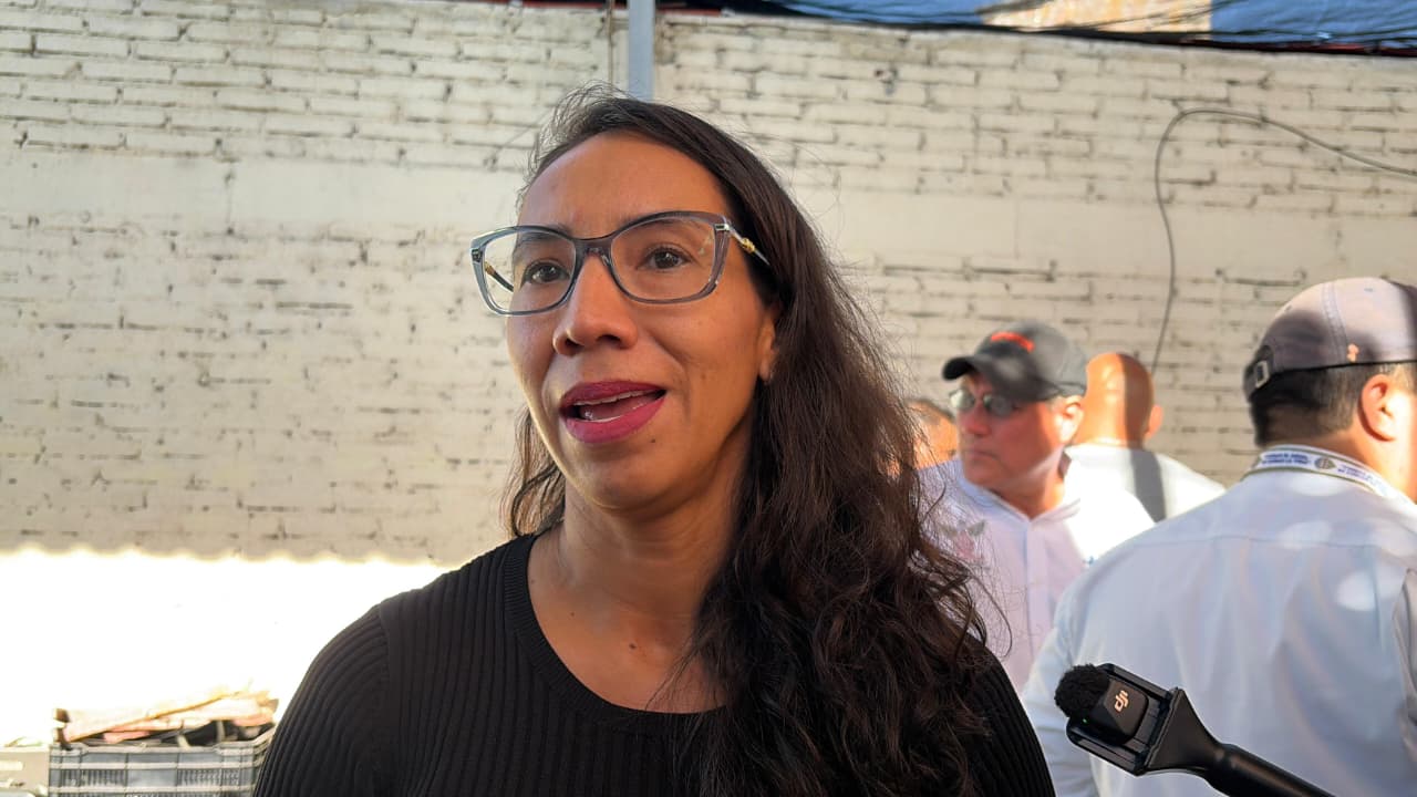 Buscan refugio para perros que agredieron a una mujer en Cuautla