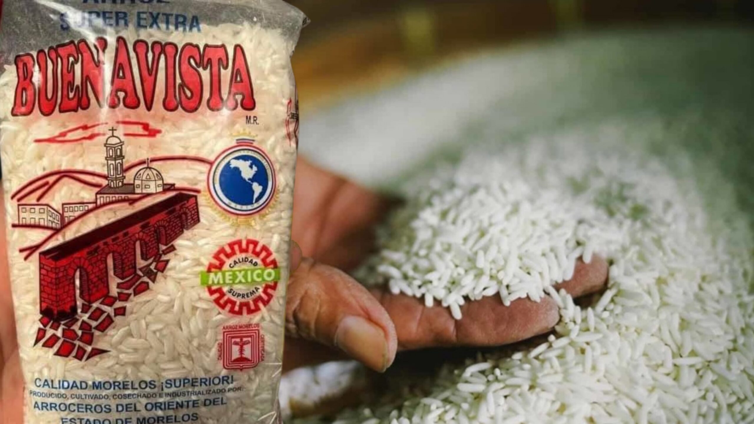 Lamentan arroceros falta de apoyo pese a contar con denominación de origen