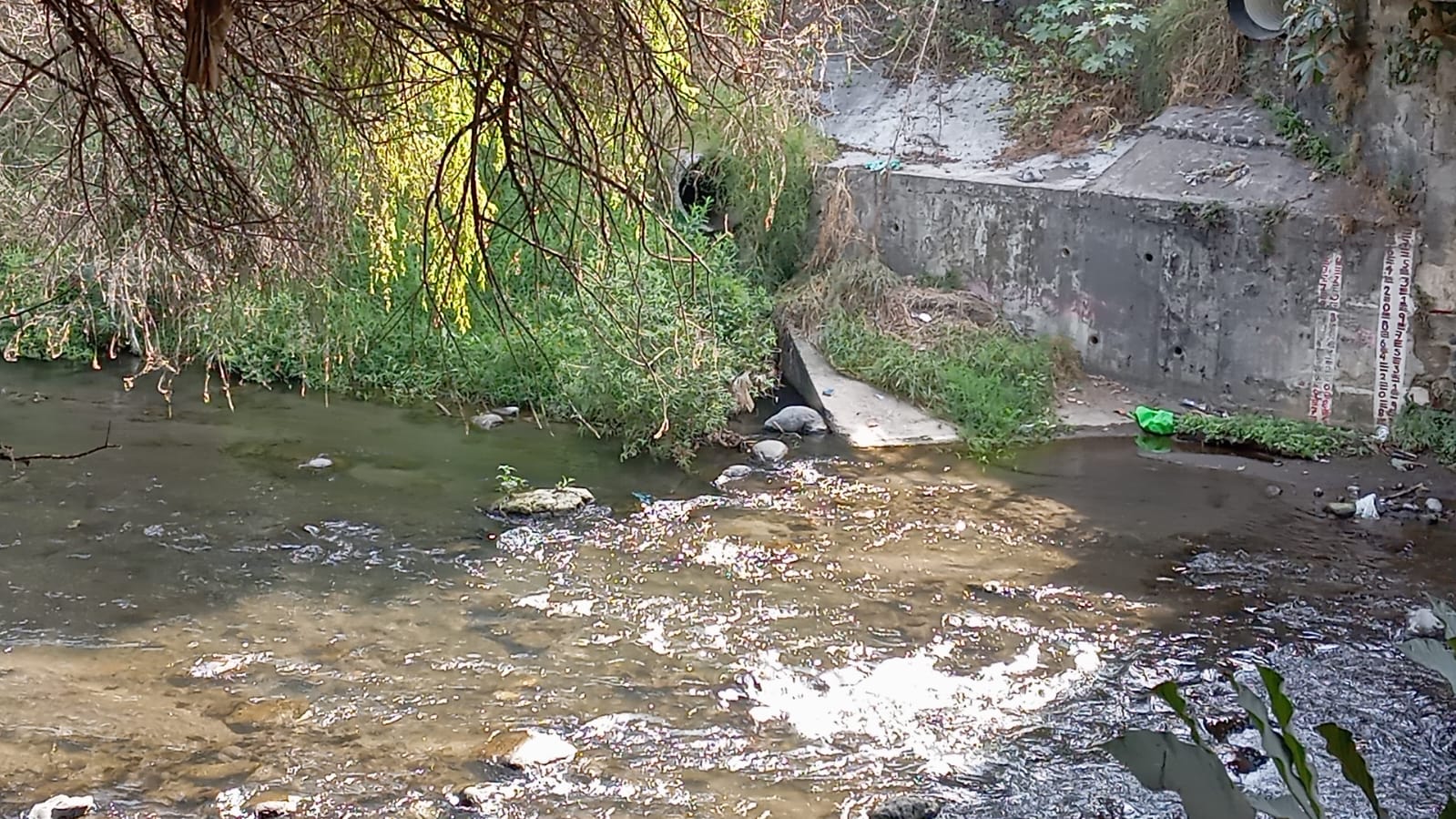 Preparan el 8° festival del Río Cuautla