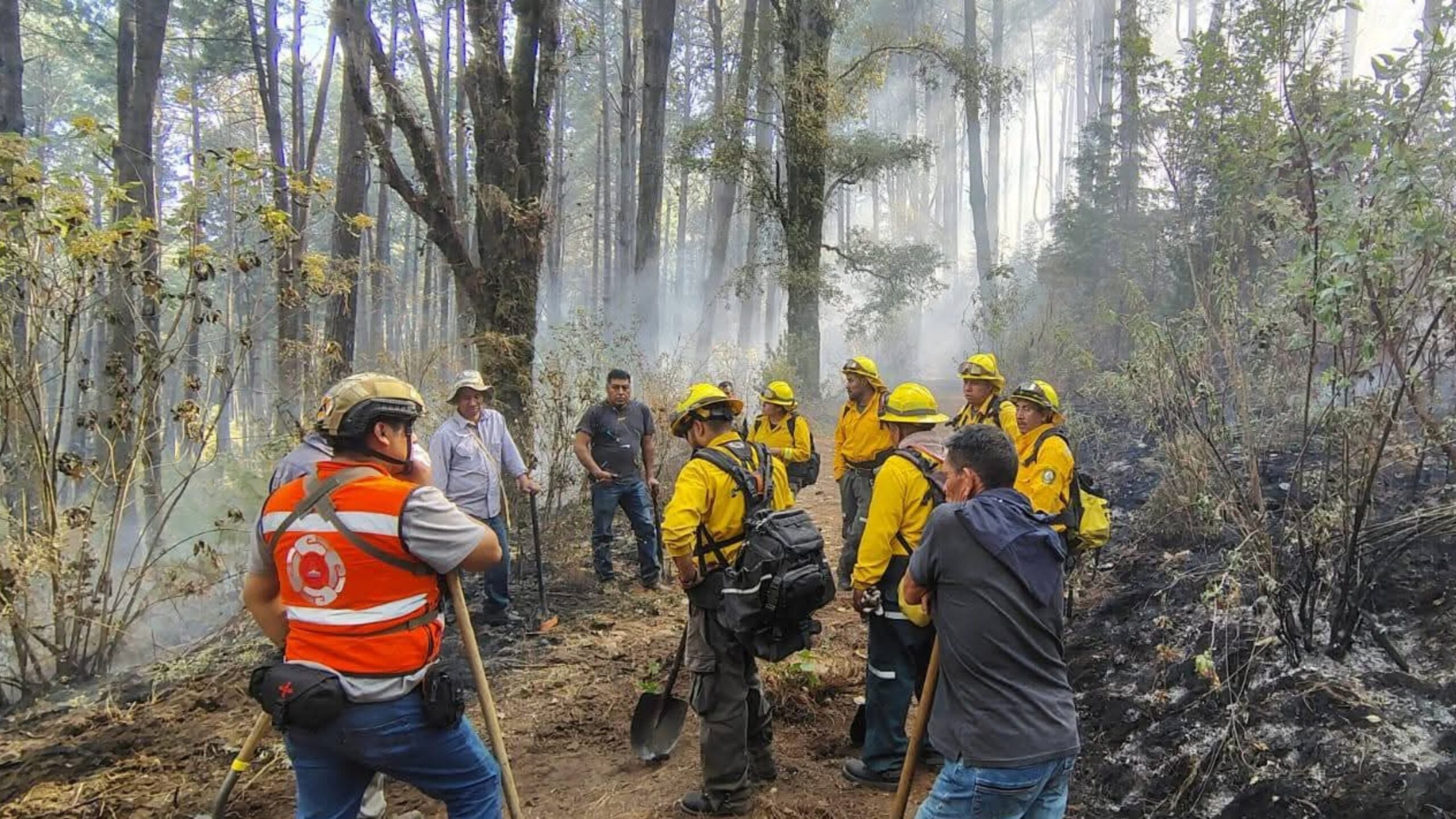 Combaten incendio forestal en límites de Ocuituco