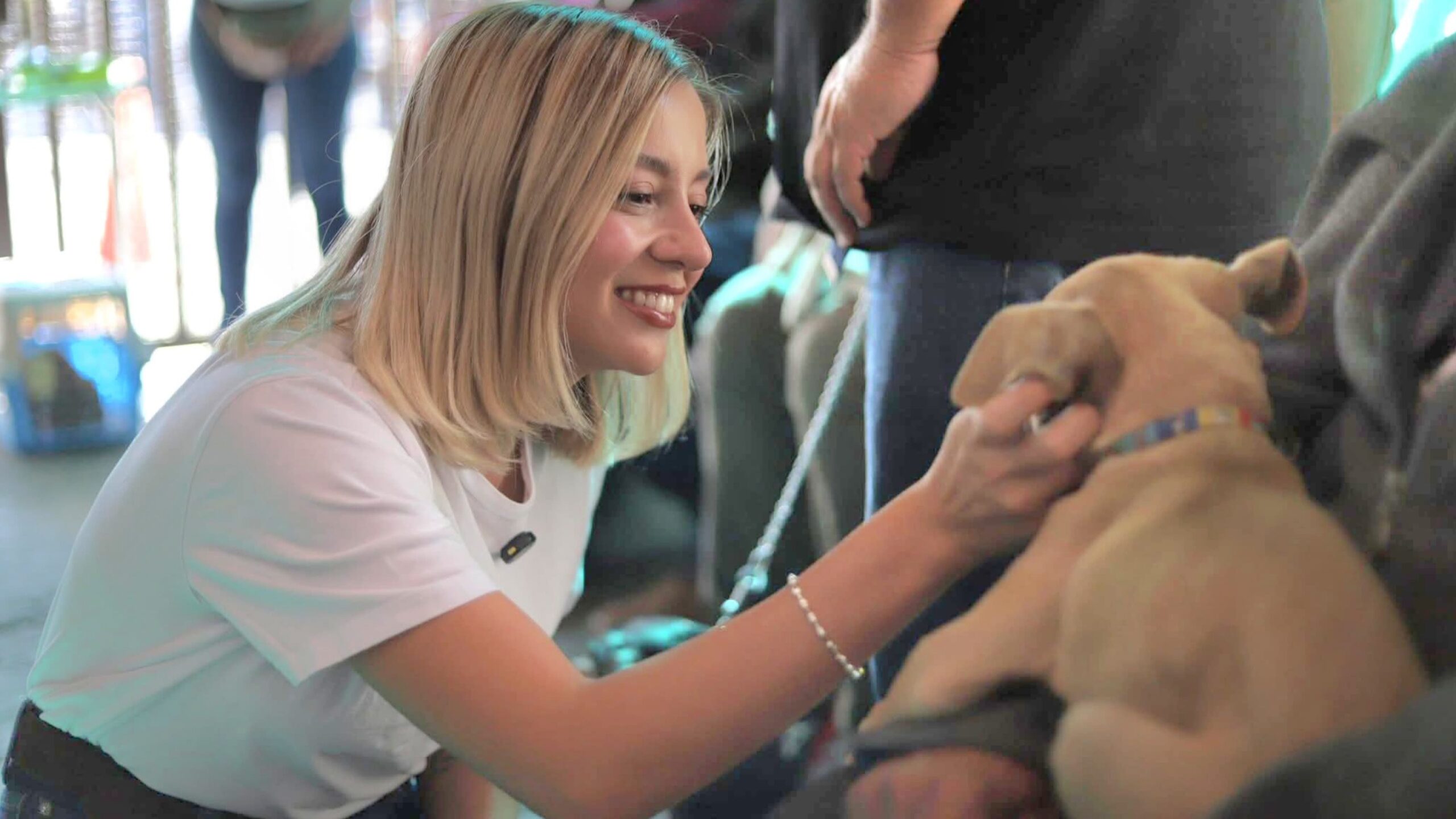 Violentadores de animales no deben ocupar ningún cargo público