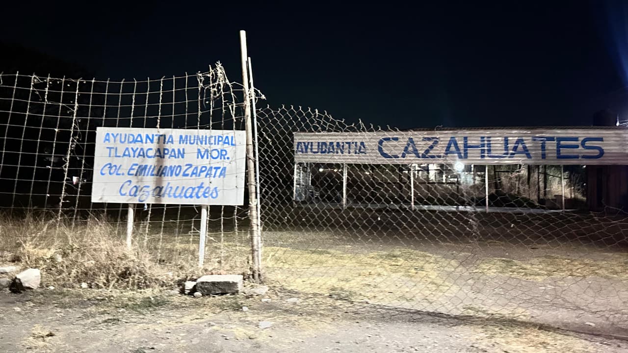 Denuncian hallazgo de perro sin vida con huellas de violencia en Tlayacapan