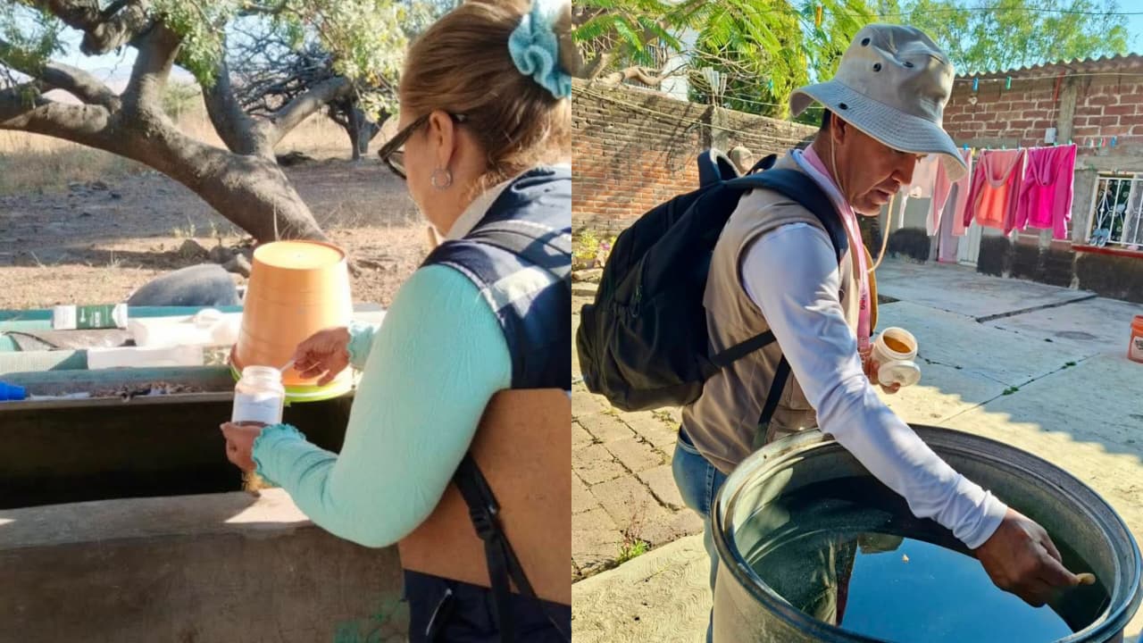 Intensifican acciones contra el mosquito transmisor del dengue en Yecapixtla