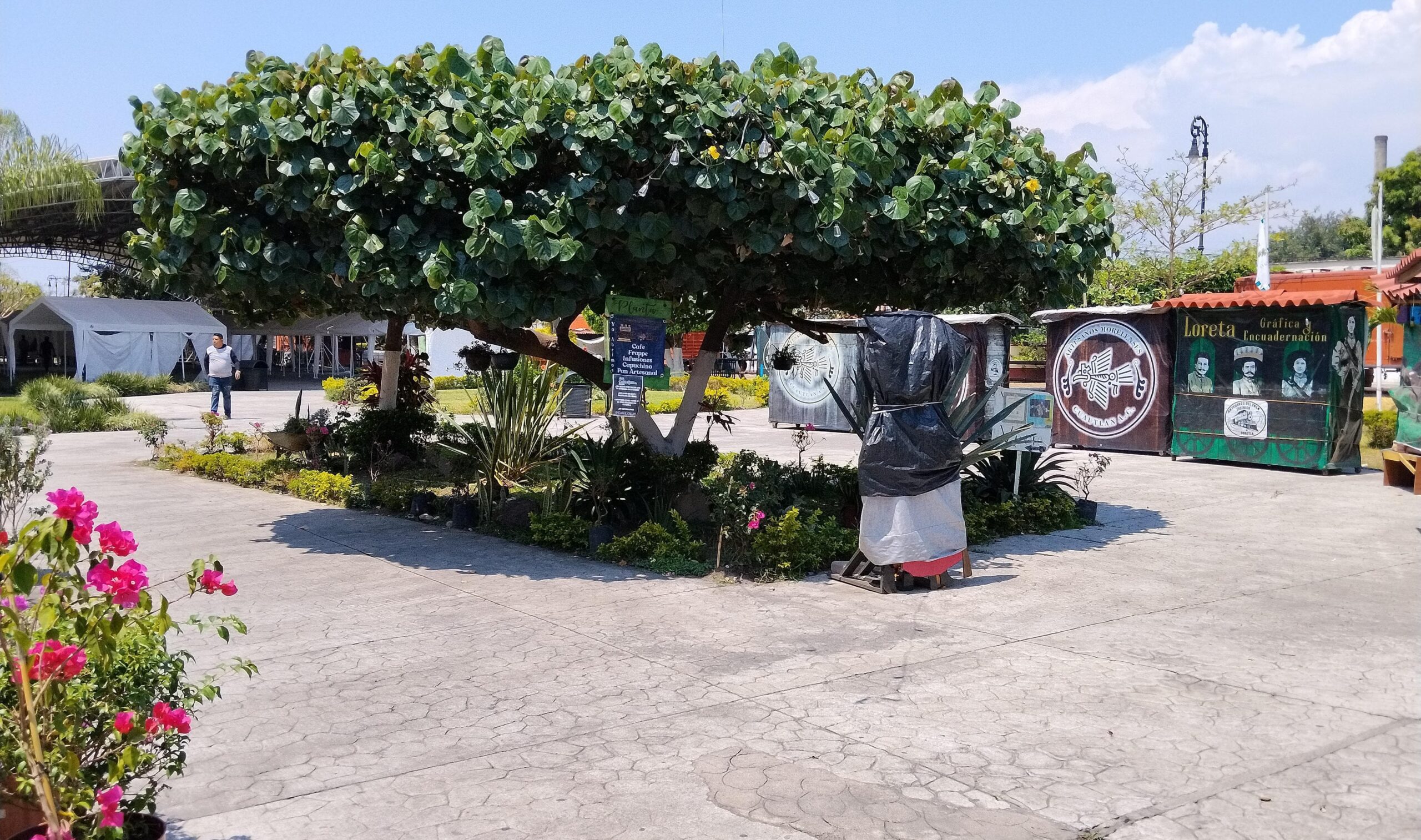 Impulsan cine al aire libre en la Antigua Estación del Ferrocarril
