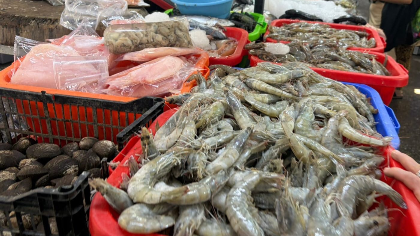 Alertan por riesgos al consumir mariscos en temporada de calor