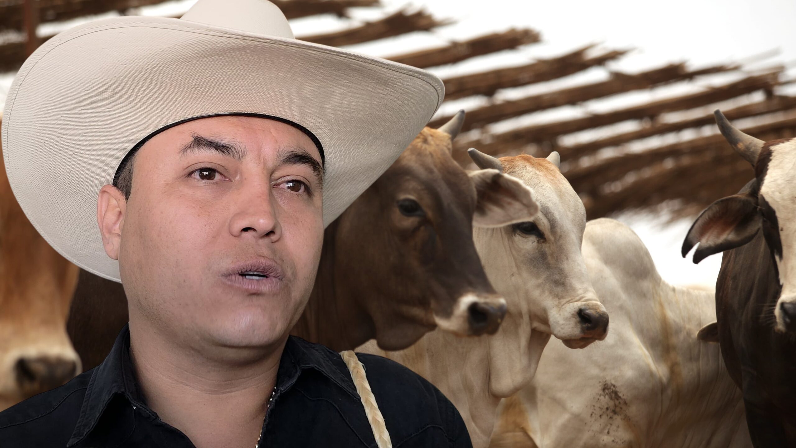 Ganaderos alertas por presencia de gusano barrenador en morelos